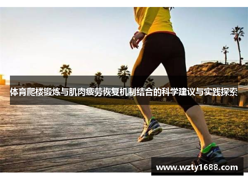 体育爬楼锻炼与肌肉疲劳恢复机制结合的科学建议与实践探索